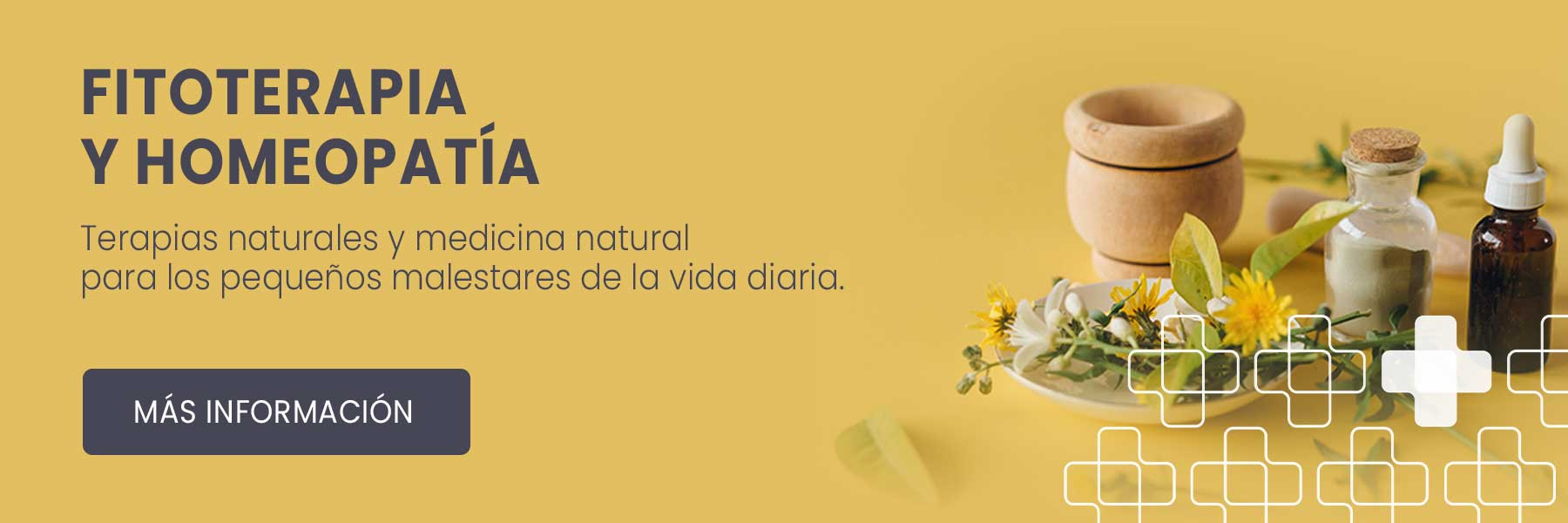 Fitoterapia y Homeopatía en Intxaurrondo (Donostia-San Sebastián)